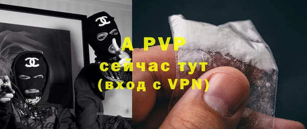 прущий лед Богданович