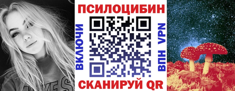 где купить наркотик  Ялуторовск  Галлюциногенные грибы Psilocybe 